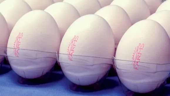 如何在蛋品蛋盒上打码？喷墨和激光又有何区别？